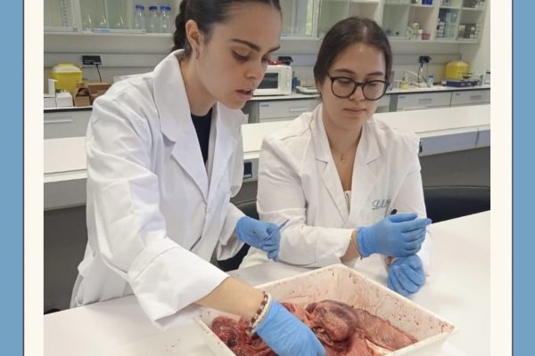 practicas-de-laboratorio-quimico-y-biomedico
